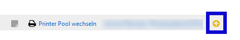 What is the Scope Runtime (runtime environment)